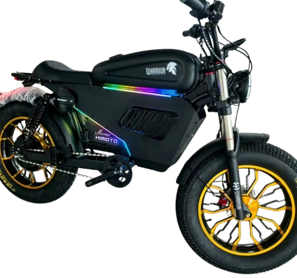 Bicicletta elettrica Pieghevole ENGWE EP-2 BOOST da 20 con batteria 48V 13A