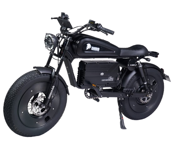 Bicicletta elettrica Pieghevole ENGWE EP-2 BOOST da 20 con batteria 48V 13A
