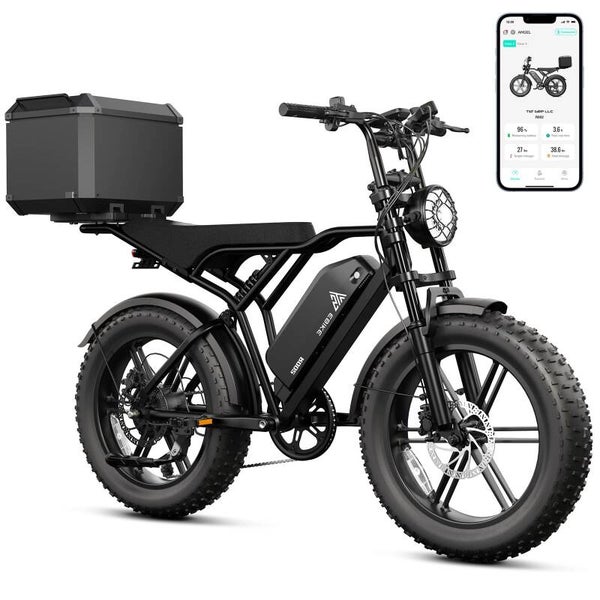 Bicicletta elettrica da 1000 W 48 V 15 Ah 25 Ah 25 km/h con pneumatici larghi da 20 pollici, cargo bike, telaio in acciaio, magazzino UE, fat bike per adulti