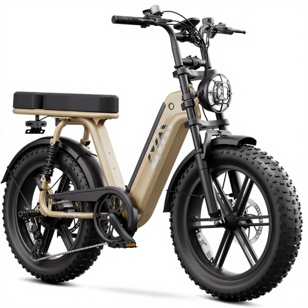 DDP TST Adult Electric Bike 250W Brushless 48V 15Ah Lithium Battery 60 Miles Range 20" Fat Tire Carbon Fibre Rear Hub Disc Brake