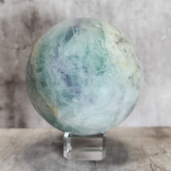 Pastel Fluoriet bol 488g