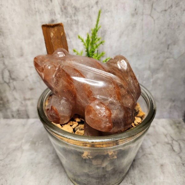 Vuurkwarts kikker 414g