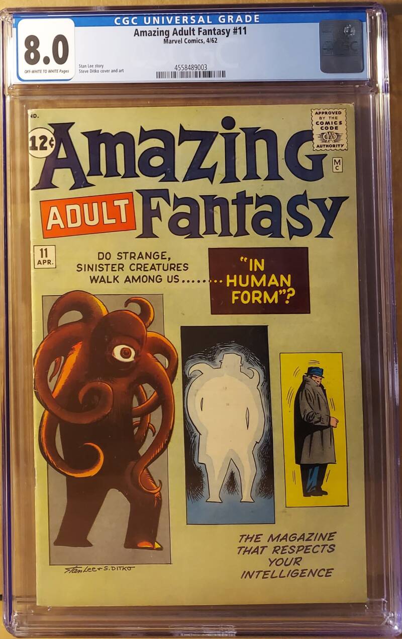 amazingadultfantasy11_cgc8-standard.jpg