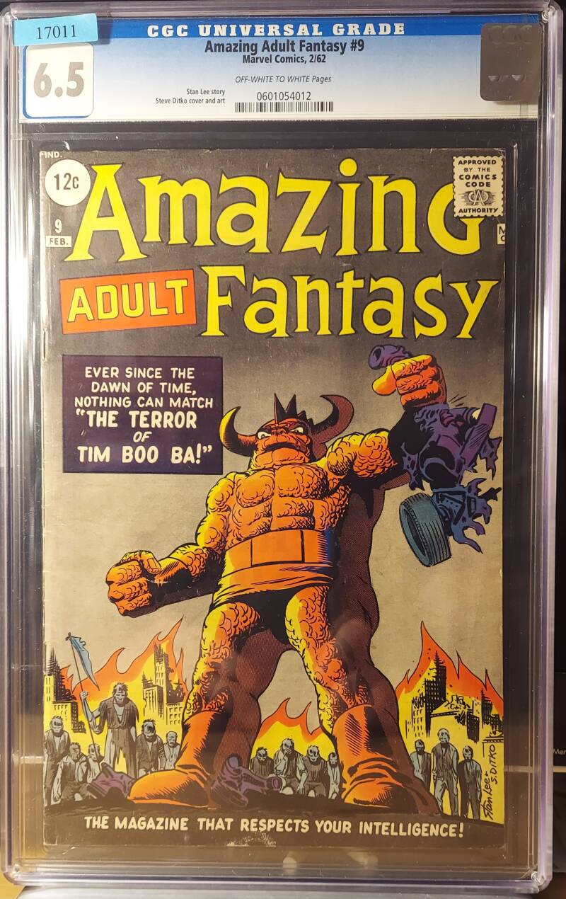 amazingadultfantasy9_cgc6-5-standard.jpg