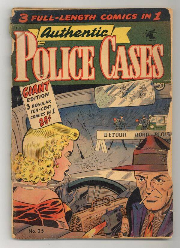 Authentic Police Cases #25   FR 1.0