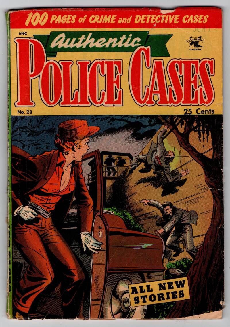 authenticpolicecases28_3-standard.jpg