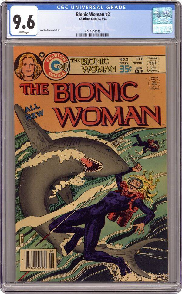bionicwoman2_cgc9-6-standard-sih0e4.jpg