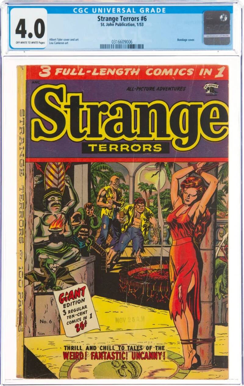 strangeterrors6_cgc4-standard.jpg