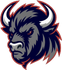 ASD Mavericks Roma