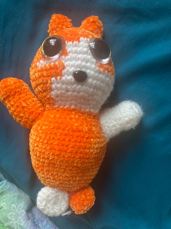 Orange and white cat