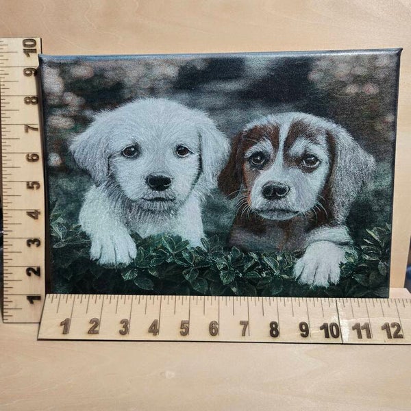 Puppies in a hedge (#141)