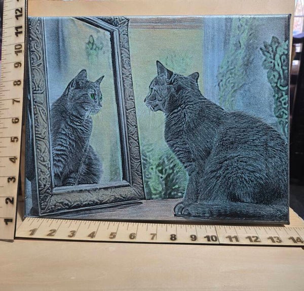 Cat in a Mirror (#143)