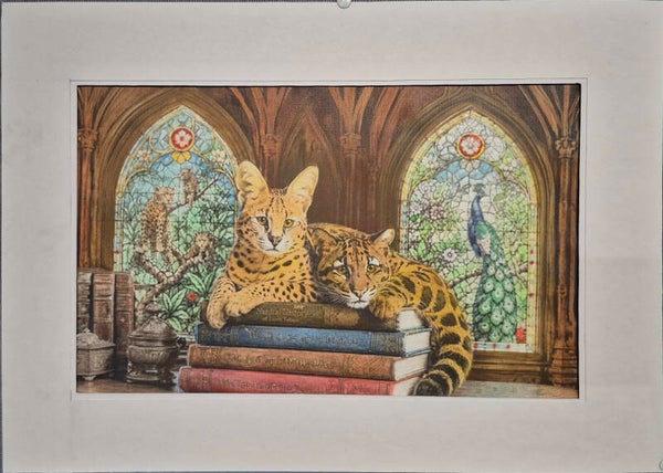 249 Cat Guardians of the library.