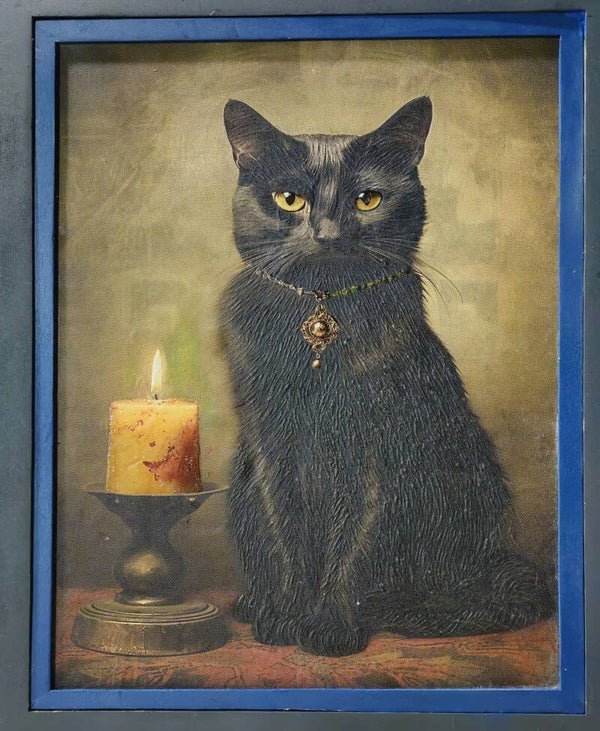 #258 Cat By Candlelight