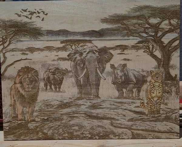 Africa Big Five Game (#57)