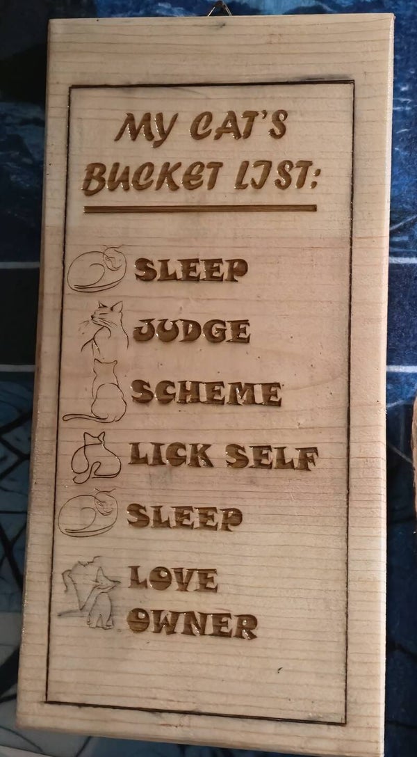 Cat Bucket List (#62)