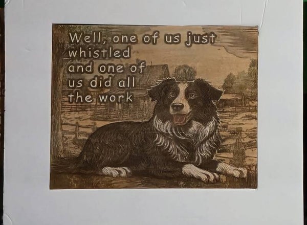 Collie Working Dog. (#44)
