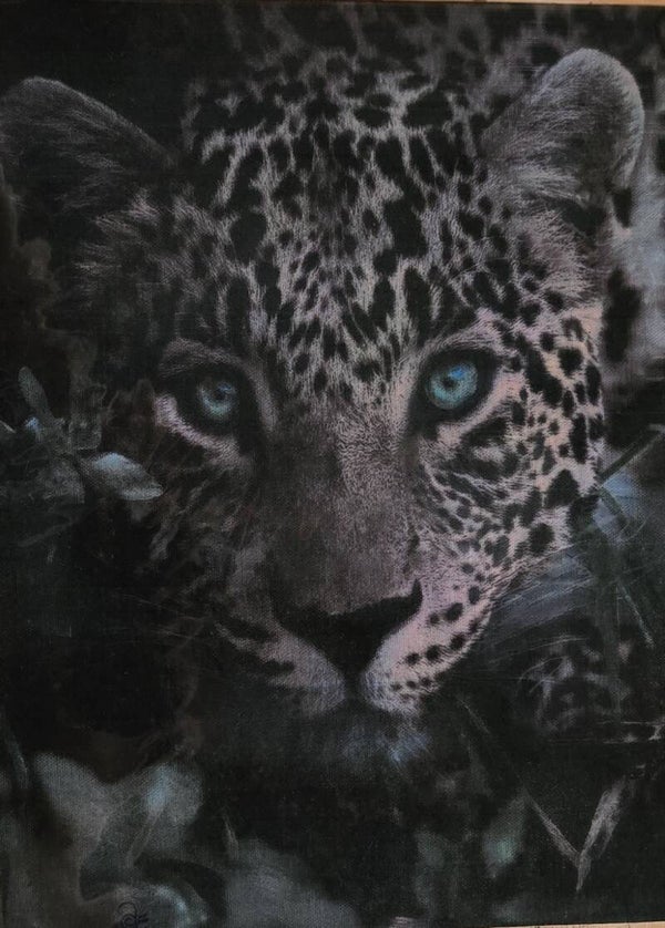 Cougar Close Up (#66)