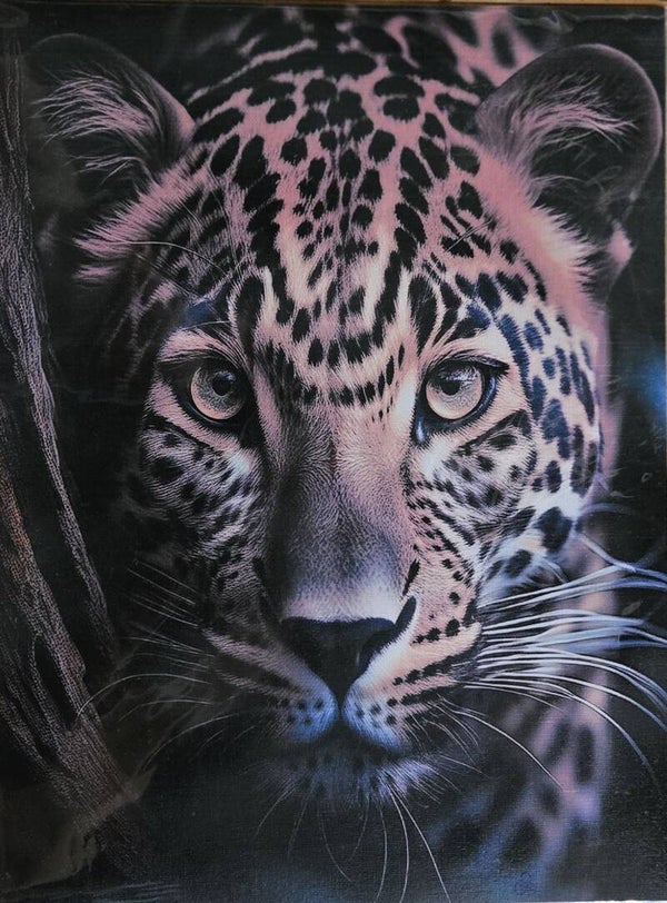 Leopard Close Up (#65)