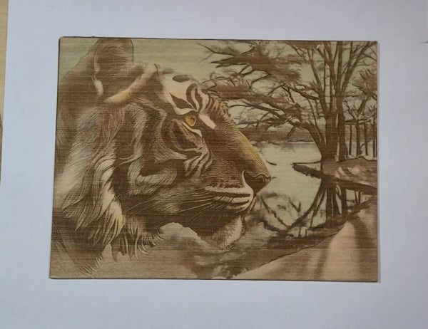 Tiger engraving (#61)