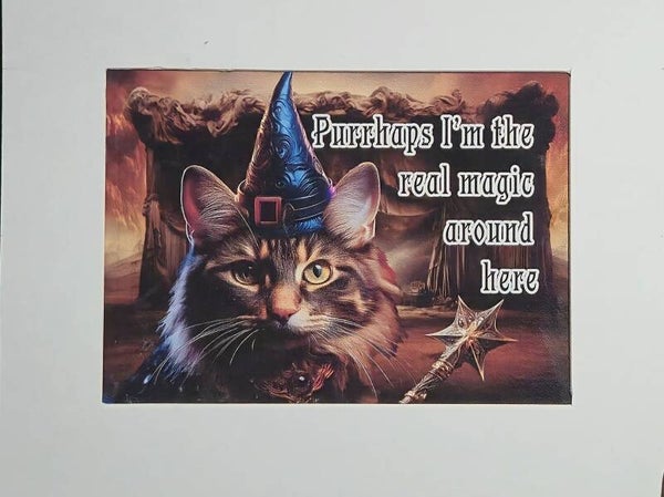 Magic Witch Cat (#45)