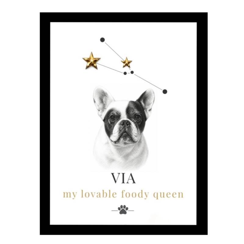 dieren memorie hond met sterrenbeeld