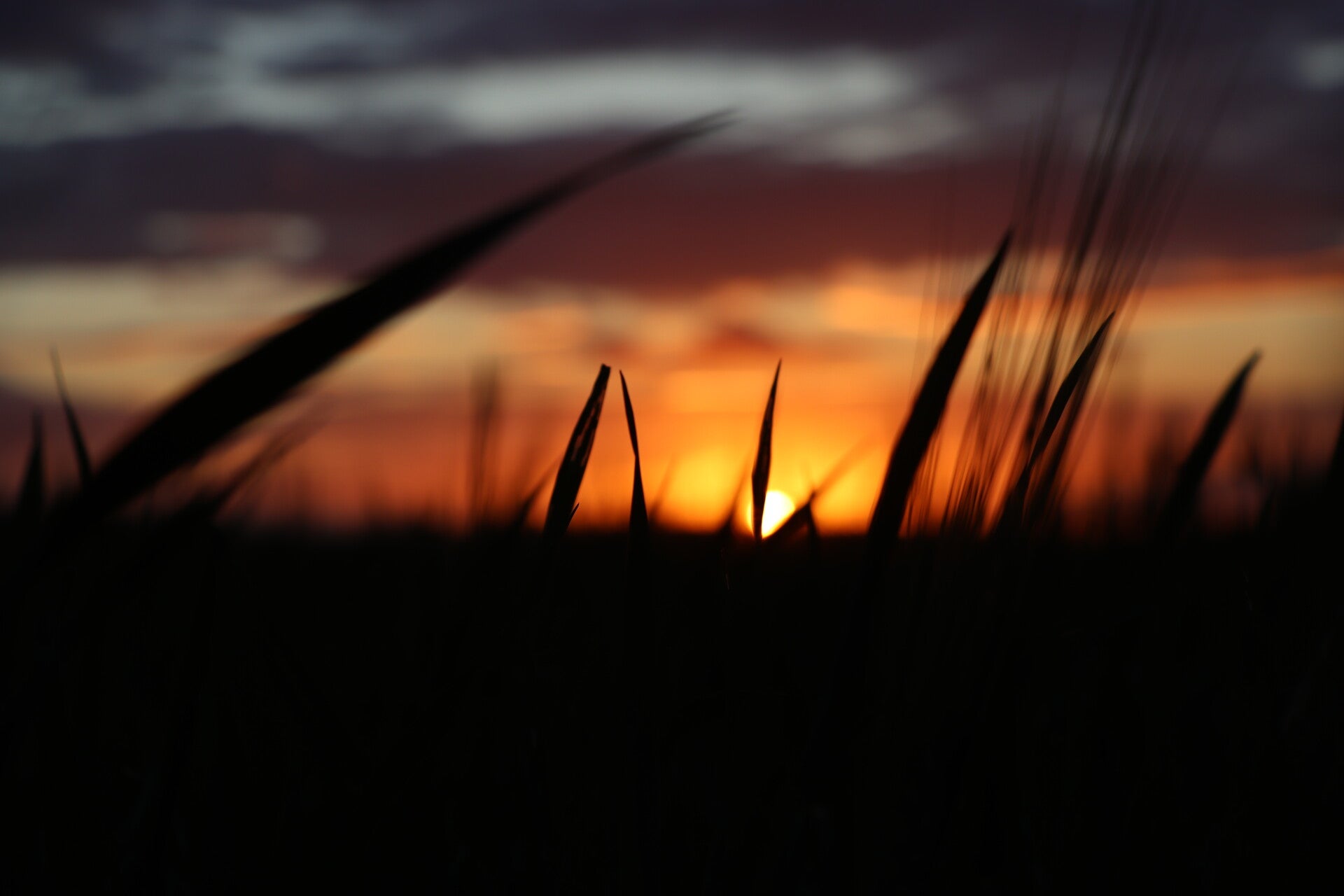 img_8650-standard.jpg
