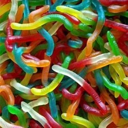 Vers lisses (100g)