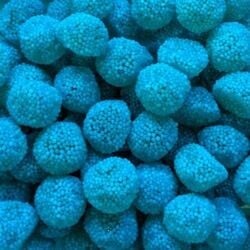 Mûres bleues (100g)