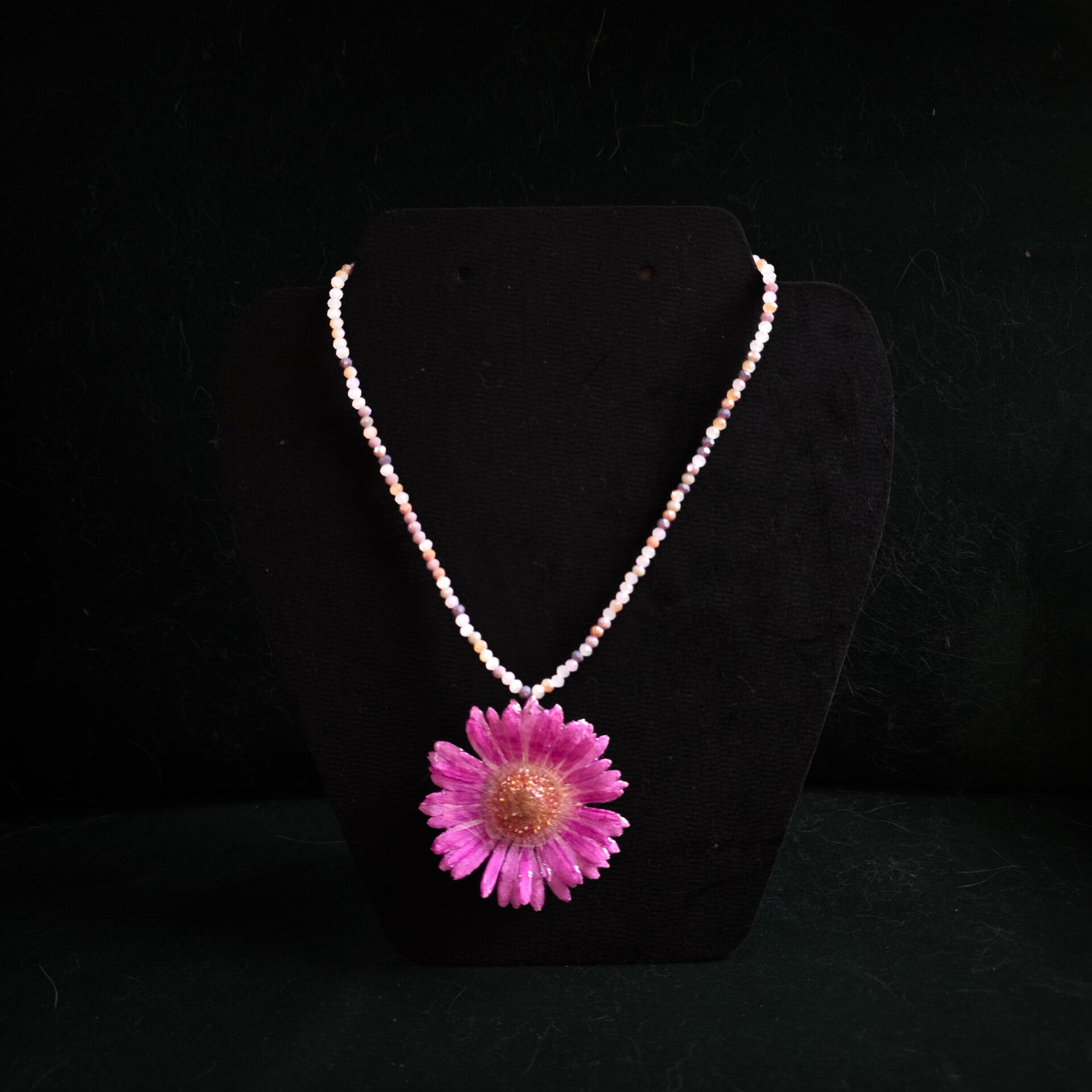 Éclat mauve