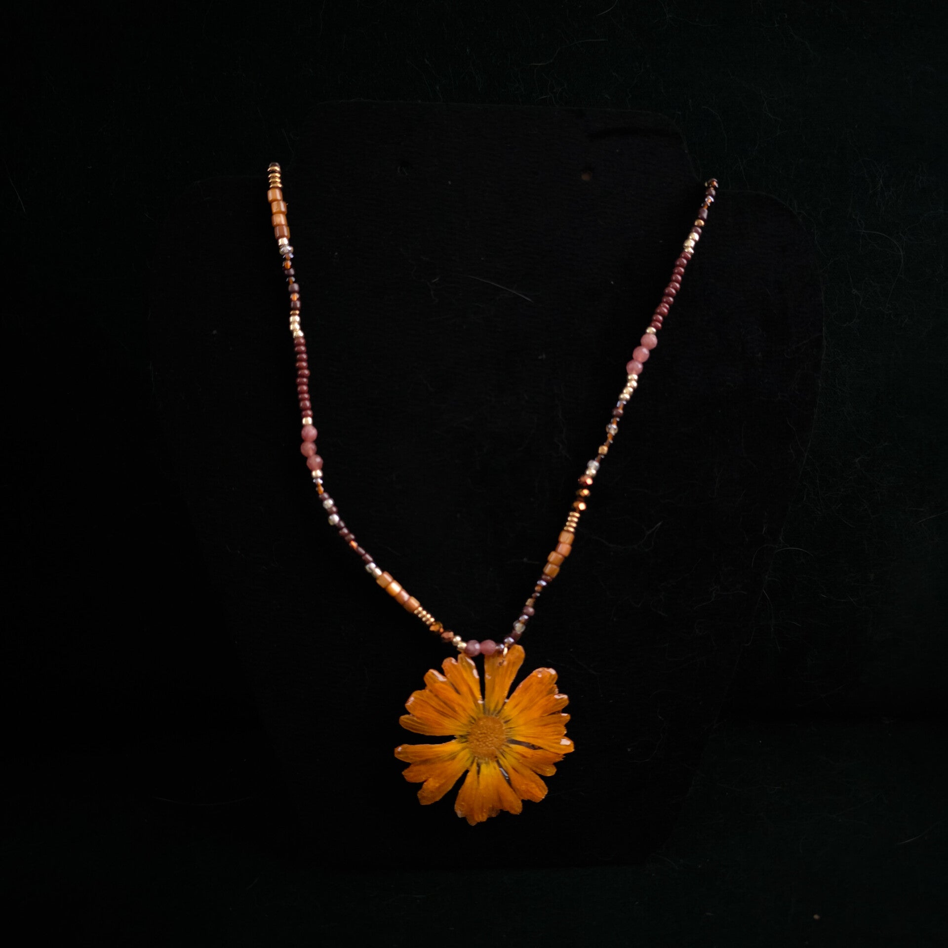 Lost in orange