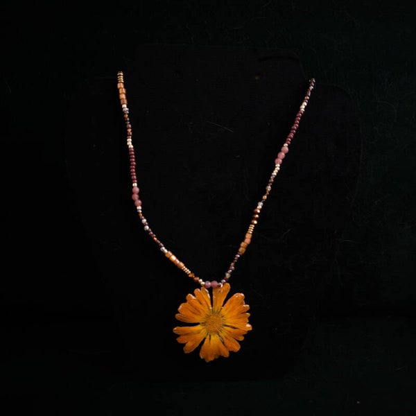 Lost in orange