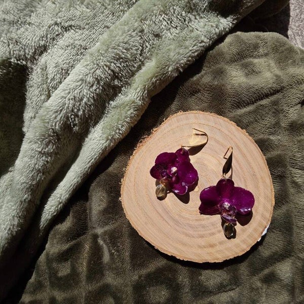 Purple princess orchid