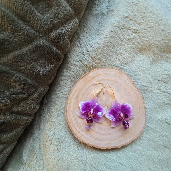 Purple Amethyst orchid