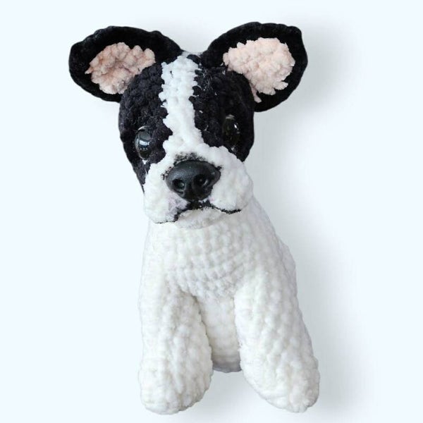 Franse bulldog
