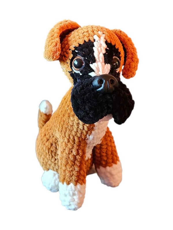 Boxer
