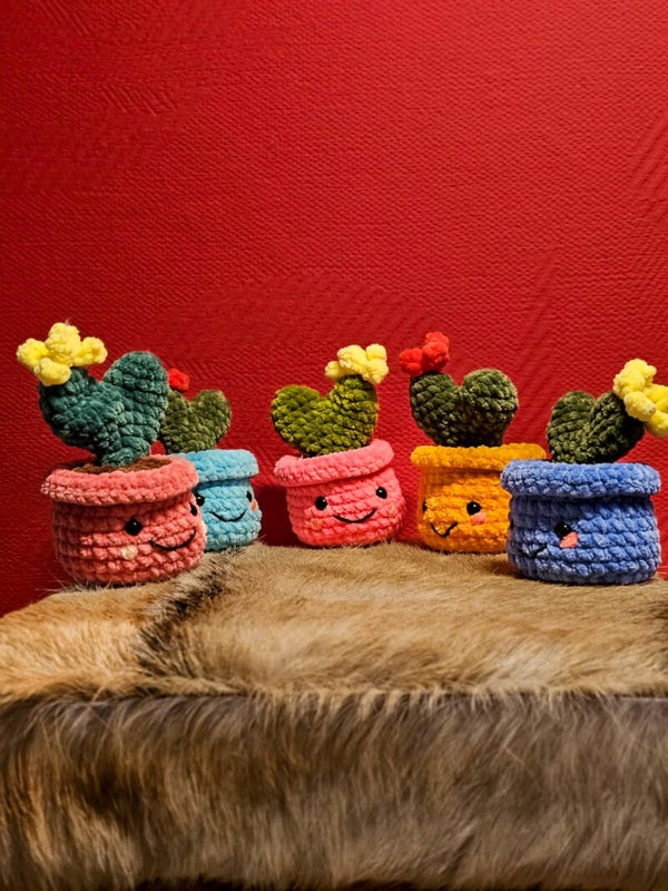 Cactusplantje