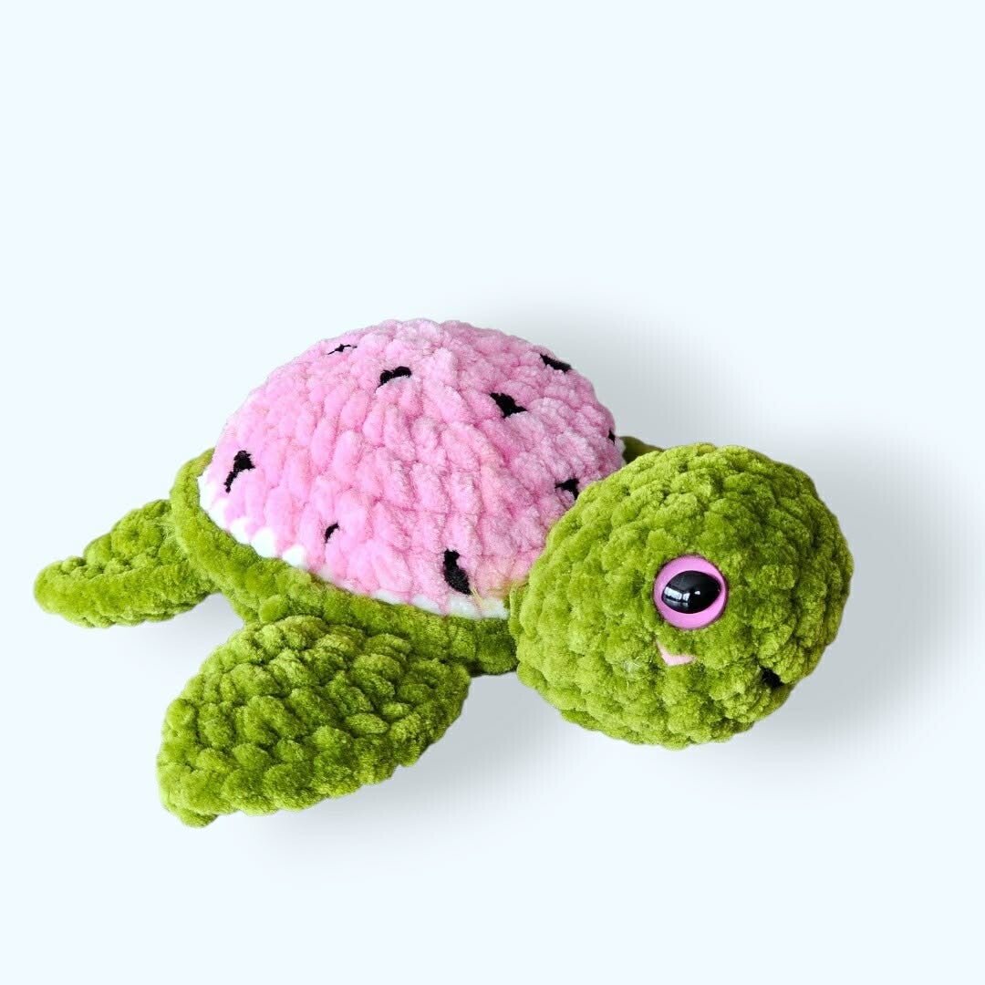 Schildpad watermeloen