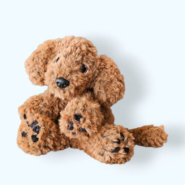 Labradoodle