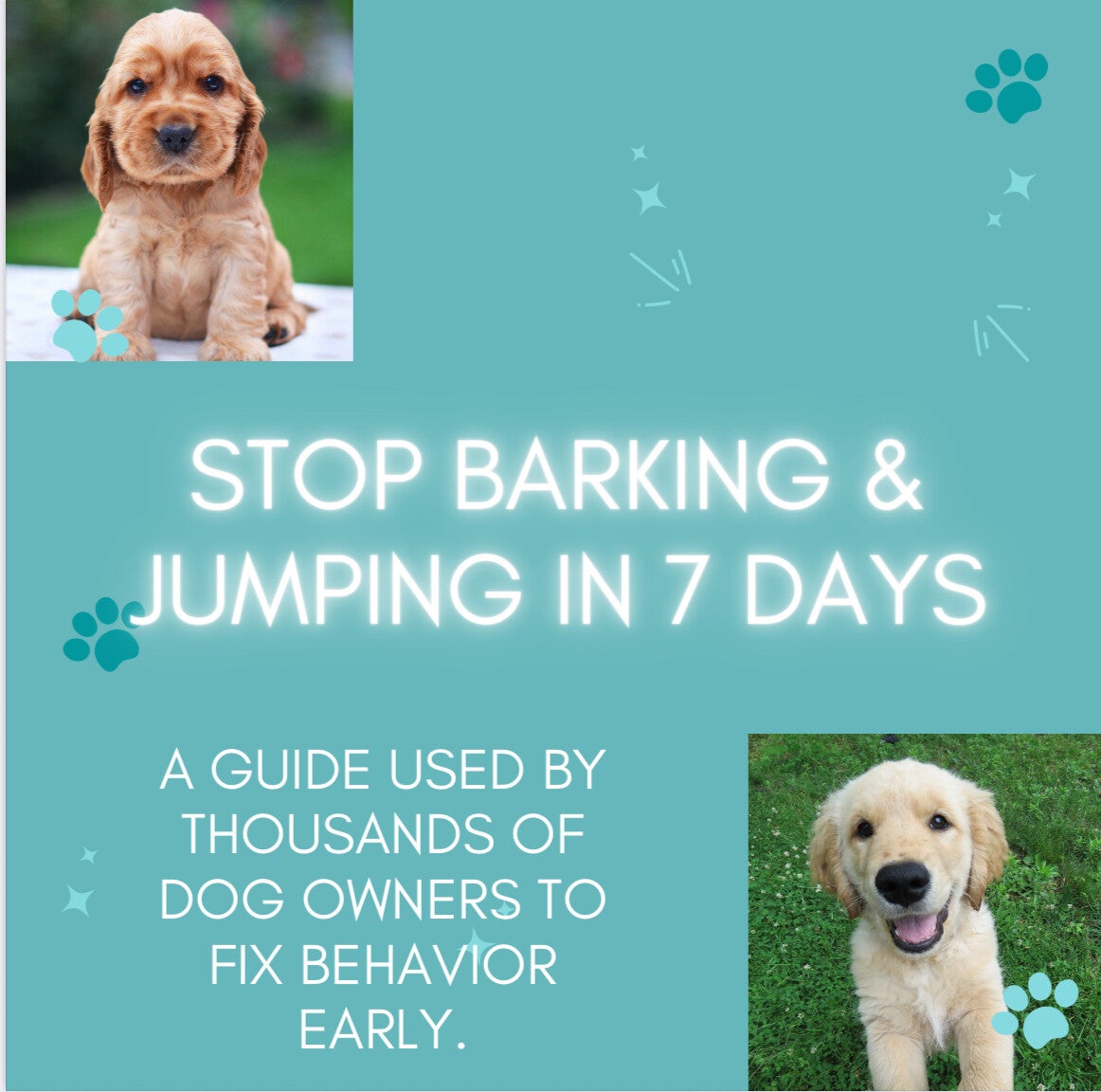 Stop Barking & Jumping in 7 Days