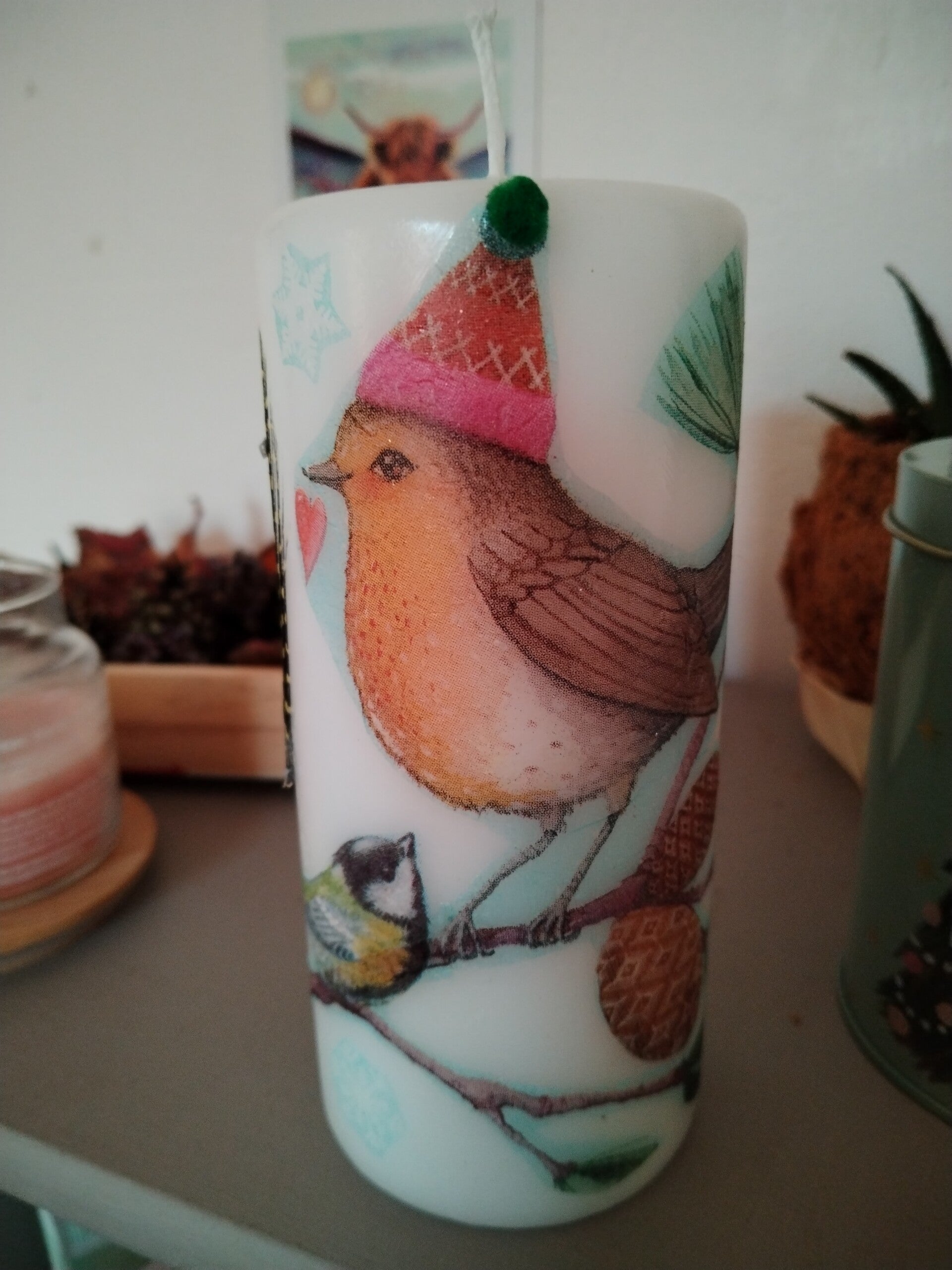 Bougie oiseaux d'hiver