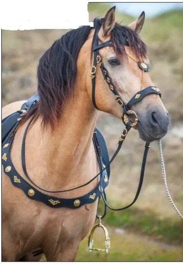 ENSEMBLE DE BRIDES BAROQUES