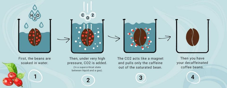 caféïnevrije koffie hoe word het gemaakt process