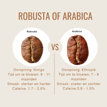 Robusta vs arabica koffiebonen