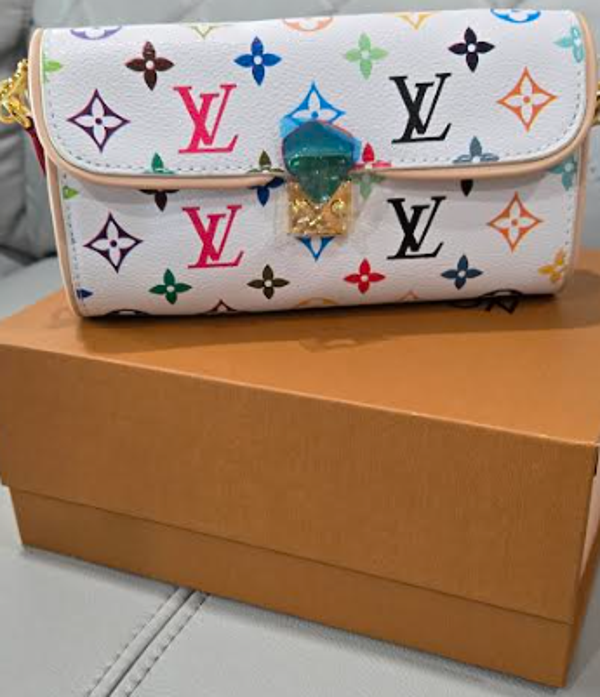 Louis Vuitton Multicolor bag