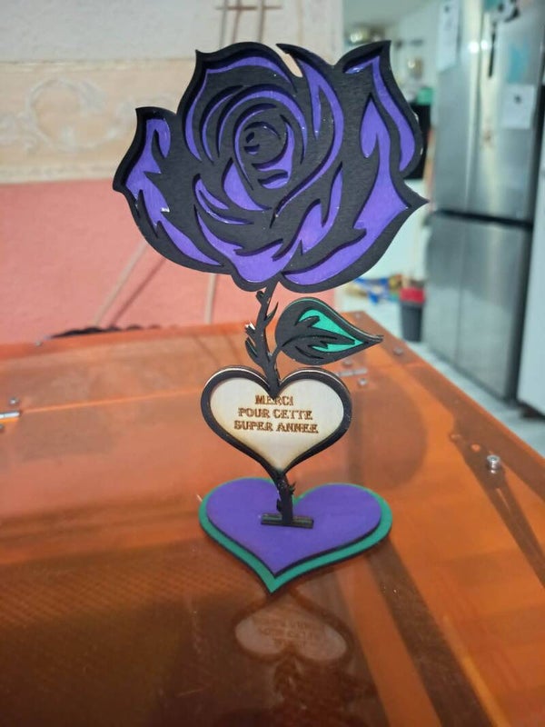 Rose violette Maîtresse d'école