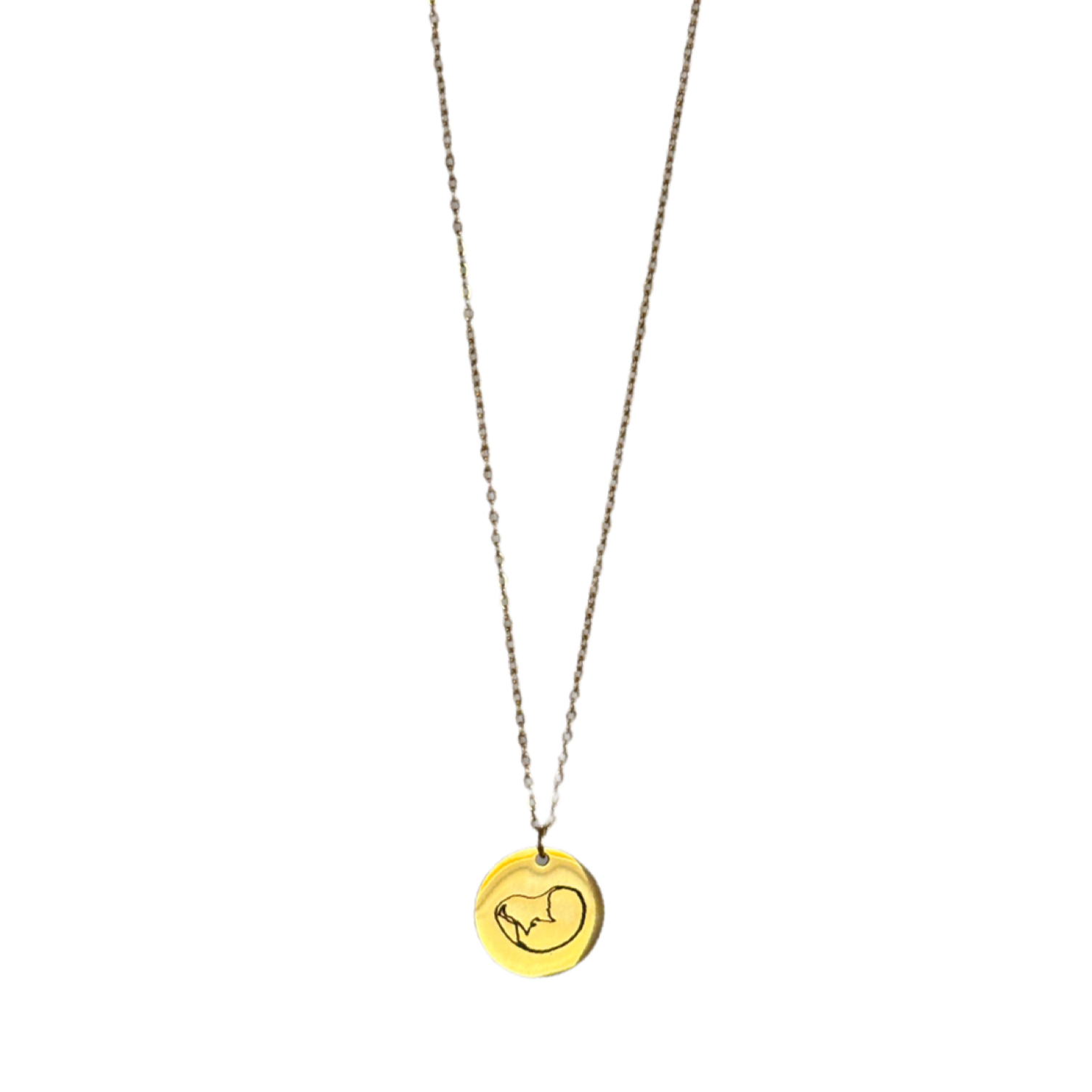 Signal Coin Necklace