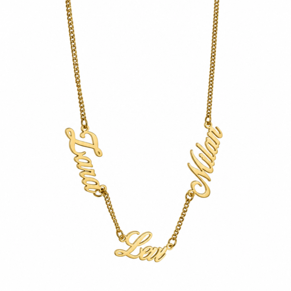 Lio Name Necklace ( 2 tot 4 namen )