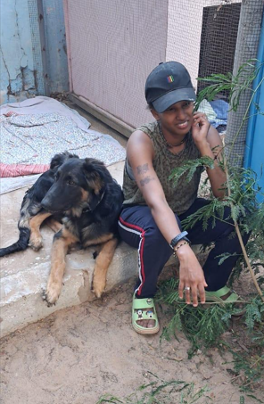 Rescue mission in Nouakchott, helping street dogs find loving homes