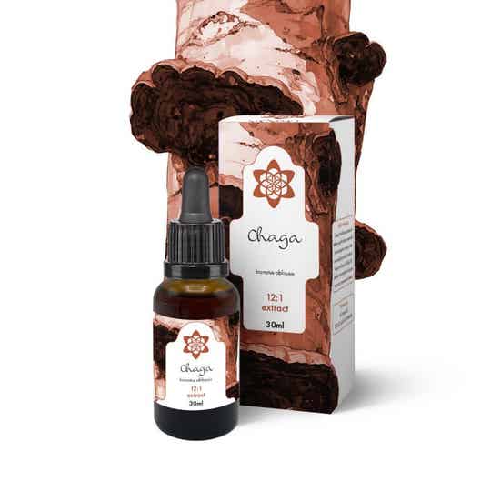 Chaga  Extract